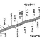 펌 -해운대 장산 노래한 우화가사 &#39;상살미가&#39; 발굴 이미지