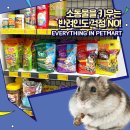 펫마트아라점