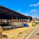 창녕축산 이미지