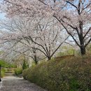 봄비어린이공원 이미지