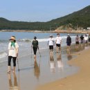 2024 청정완도 가을 섬여행 이미지