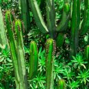 MG새마을금고 옆 이미지