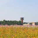 행복한들 이미지