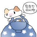 한쌈중동점 이미지