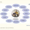 제로티모