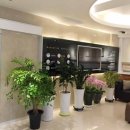 맨해튼치과의원 이미지