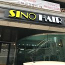 시노헤어 이미지