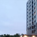 도미니클라바 이미지