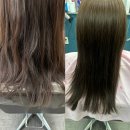 더샵헤어 | 포항 미용실 추천 머리 잘 하는 곳 더샵헤어 클리닉 대만족 후기