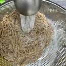춘천메밀막국수 | 코스트코 풀무원 춘천 메밀막국수 먹어본 후기
