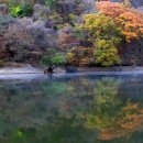 (주)지랑 Daum카페