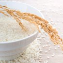 (주)모락모락 이미지