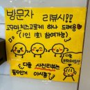 링고카레 이미지