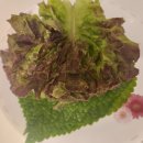 송연활어수산