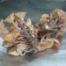 불당골2 이미지