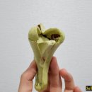파머스원마트