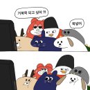 하루라이브 이미지