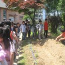 대전대문초등학교 이미지