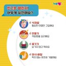 국제그릇