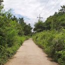 제주 올레길 19코스 이미지