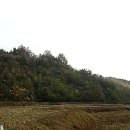 수촌리 고분군 이미지