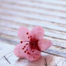 힐링한의원 이미지