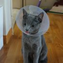 트레벨동물병원 이미지