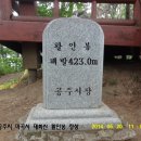 마곡사 주차장2 이미지