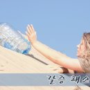갈증해소