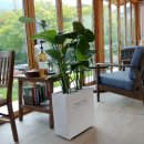 천송이플라워 이미지