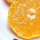 단일농장 | 달달한 제주노지감귤 코코농장위미리 귤5KG 후기