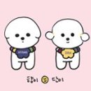황금켄넬 이미지