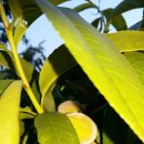 성공농장 이미지