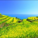 쌍계사 관광안내소 이미지