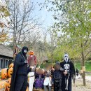 진우목장 | 고창 아이랑 가볼만한곳 상하농원 할로윈 축제 코스튬 페스티벌