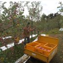 김국환농장 이미지