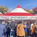 정가네토굴새우젓