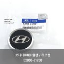 자동차 휠캡 허브캡 타이어캡 흙받이 머드가드 모비스 르노코리아 쉐보레 kgm 이미지