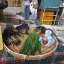 숲에서 온 유정란 이미지