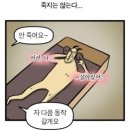 크로스핏무도 | 장한평역 크로스핏 장안동 pt 좋은습관 장안점 추천 후기 feat.여름 다이어트