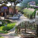 다솔이네 민박 이미지