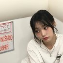 시연