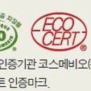 청담 유기농 스킨케어 중앙일보