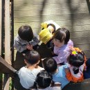 가조 힐링랜드 이미지