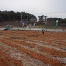 섬옷점 Daum카페
