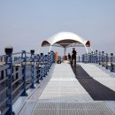 대진항식당 이미지