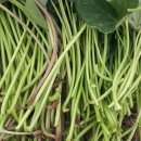 서여주세종영농조합법인 이미지