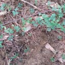 서광농장 이미지