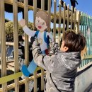 대송초등학교 이미지