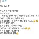 희생자분 중에 기아 타이거즈 직원분 전 날 인스타가 너무 슬퍼 이미지